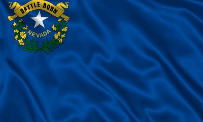 State of Nevada Flag