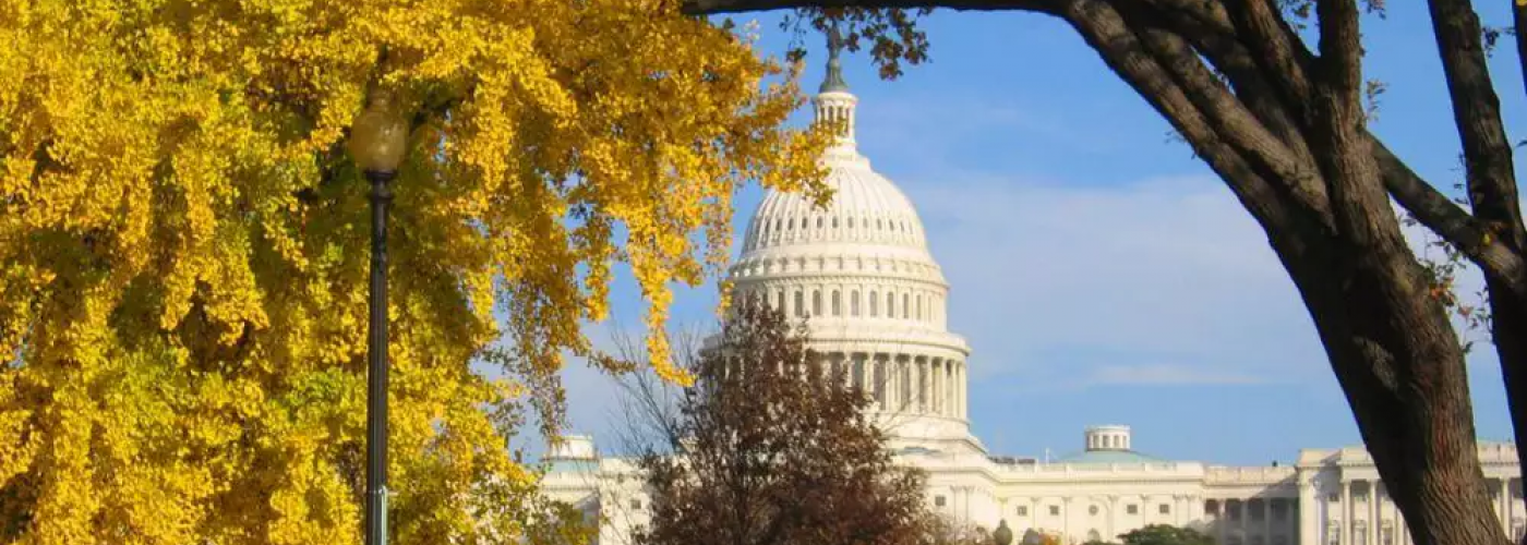 Capitol in the fall