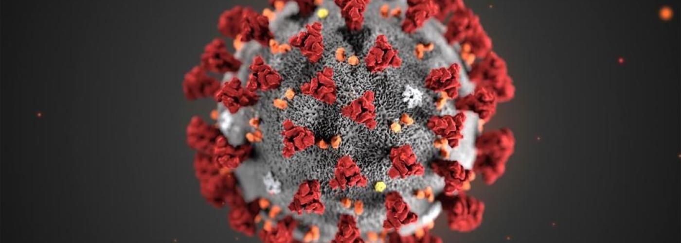 Coronavirus